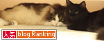 ninki Blog ranking